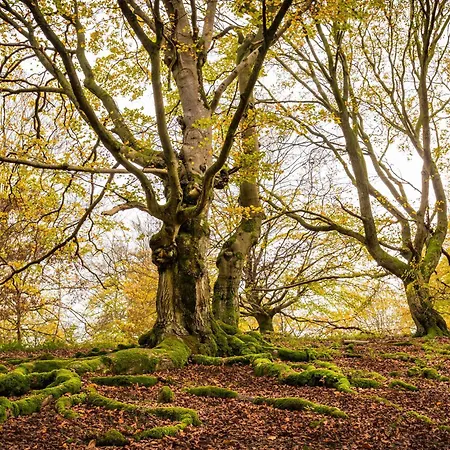 Hébergement de vacances Elbenberg Naumburg (Hessen)