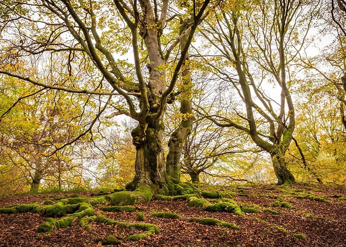Сasa de vacaciones Elbenberg Naumburg (Hessen)